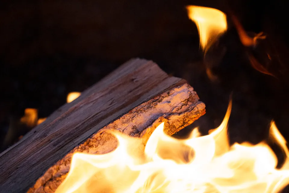 Leña ardiendo con llamas vivas